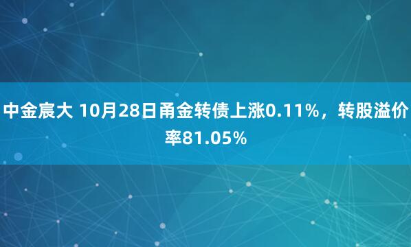 中金宸大 10月28日甬金转债上涨0.11%,转股溢价率81.05%