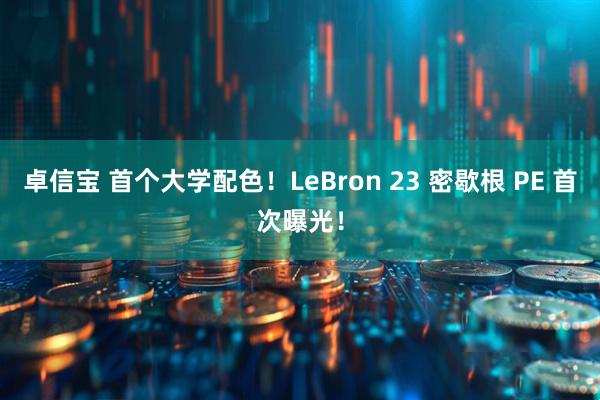 卓信宝 首个大学配色!LeBron 23 密歇根 PE 首次曝光!