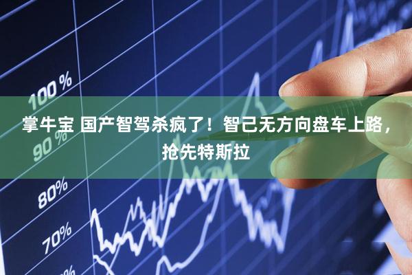 掌牛宝 国产智驾杀疯了！智己无方向盘车上路，抢先特斯拉